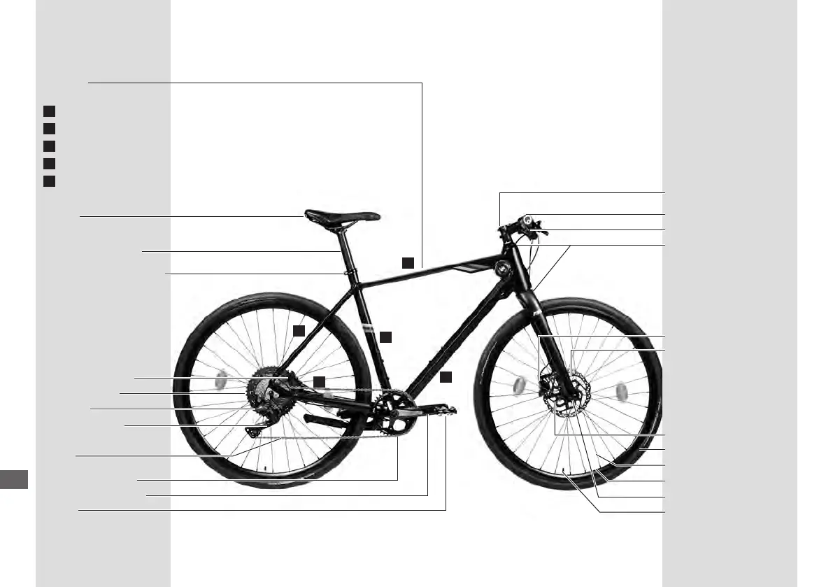 Page #562 background image