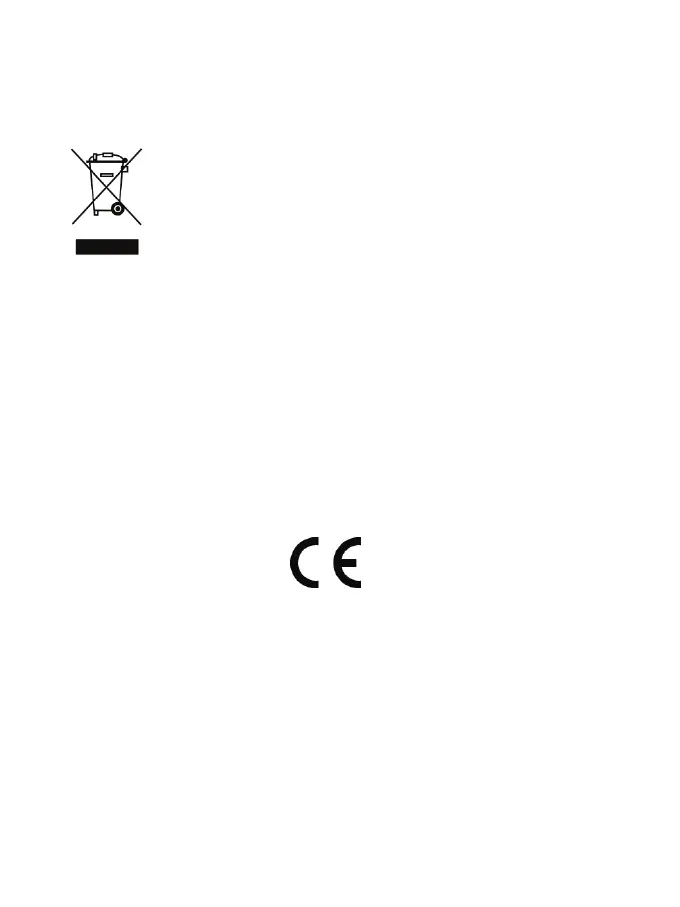Page #305 background image