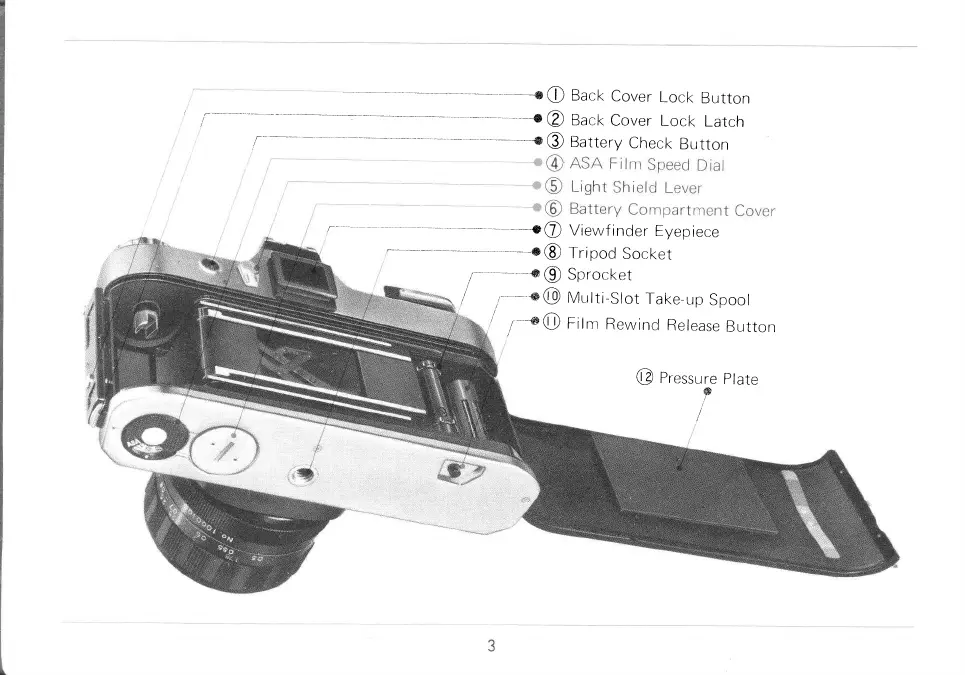 Page #5 background image