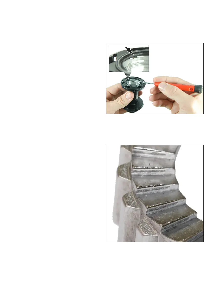 Page #12 background image