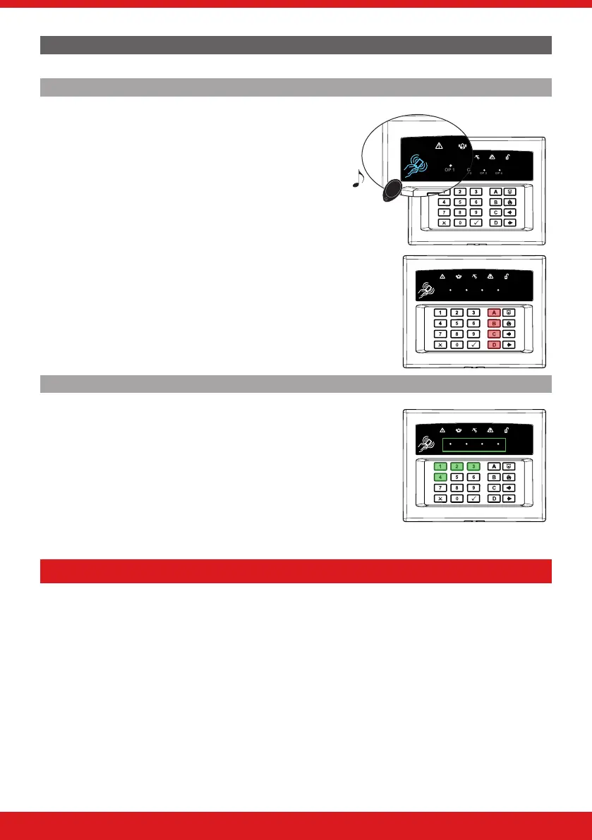 Page #8 background image