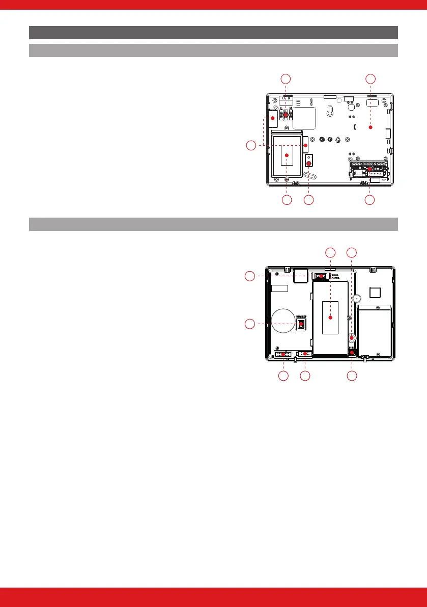 Page #8 background image