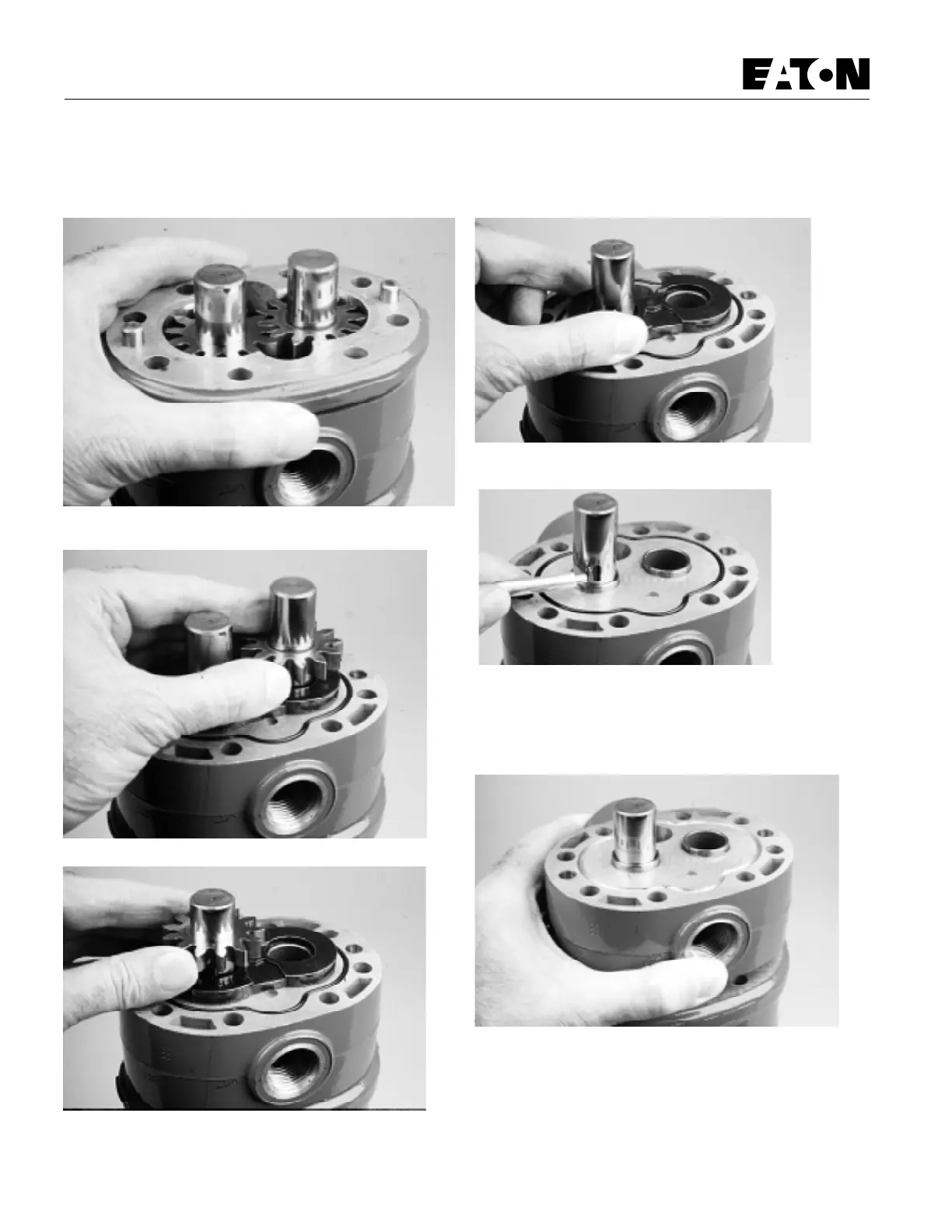 Page #6 background image