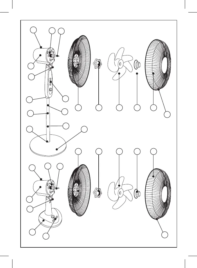 Page #3 background image