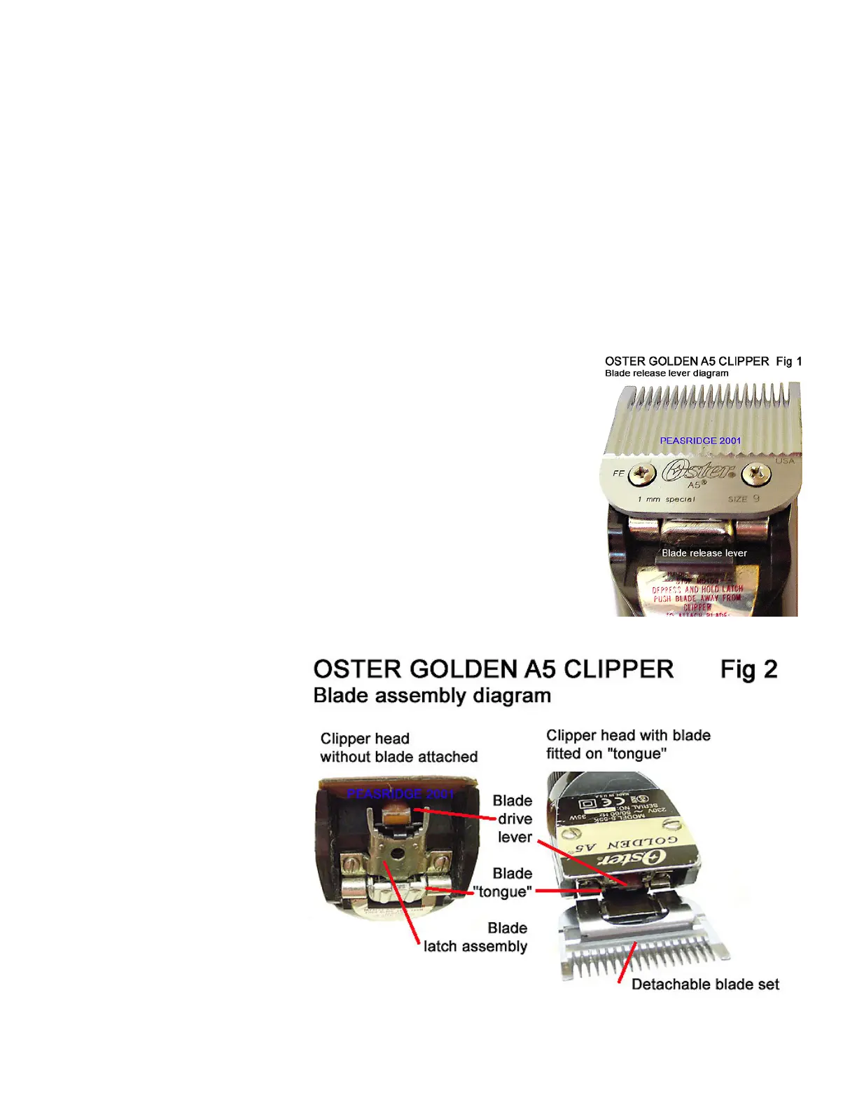 Page #2 background image