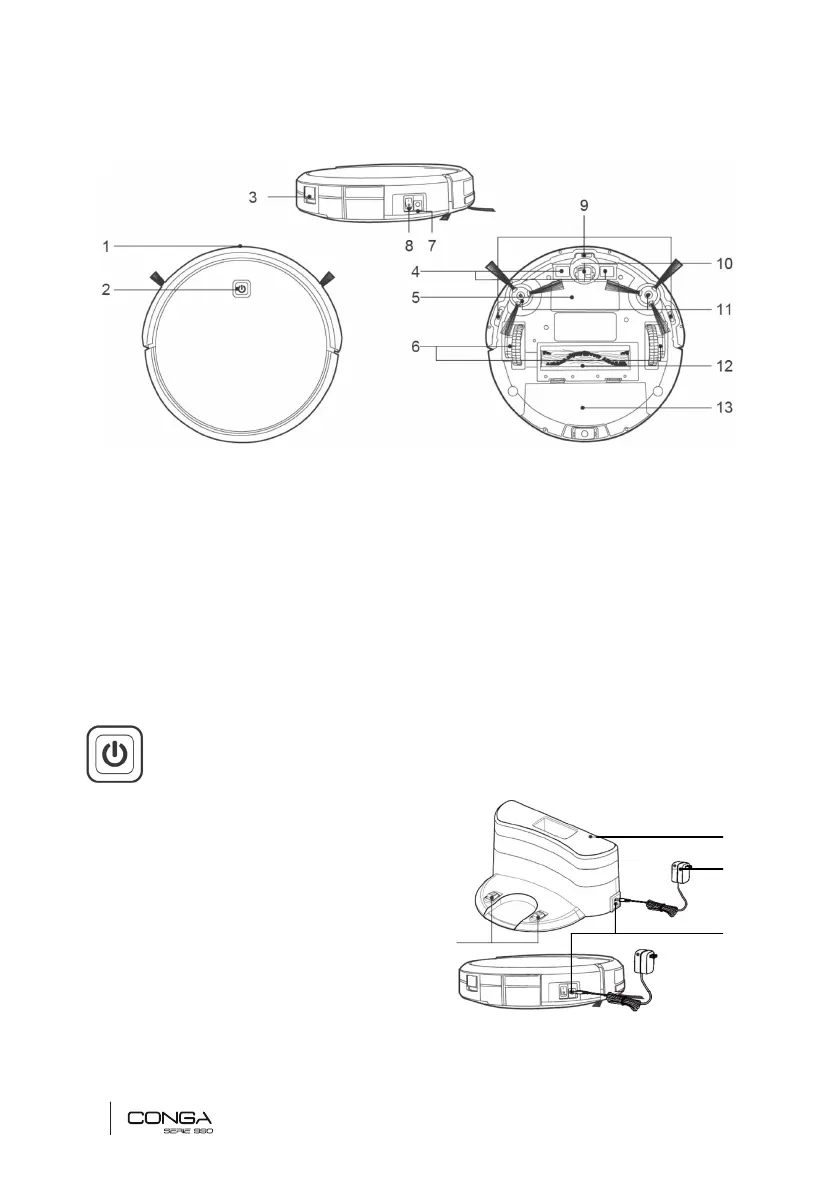 Page #4 background image