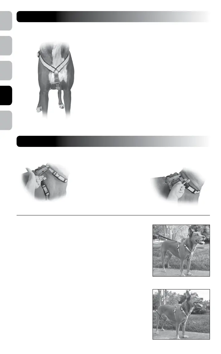 Page #26 background image