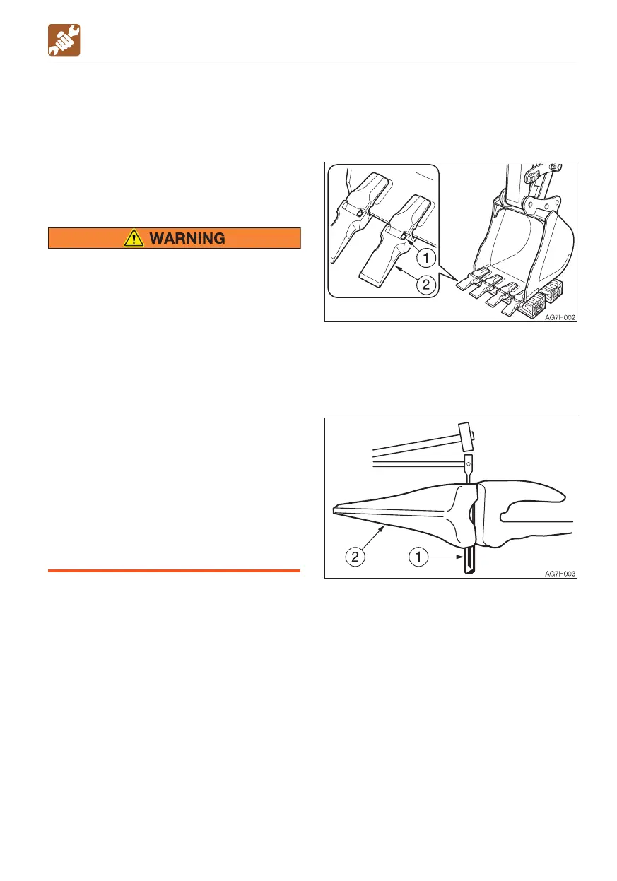 Page #219 background image