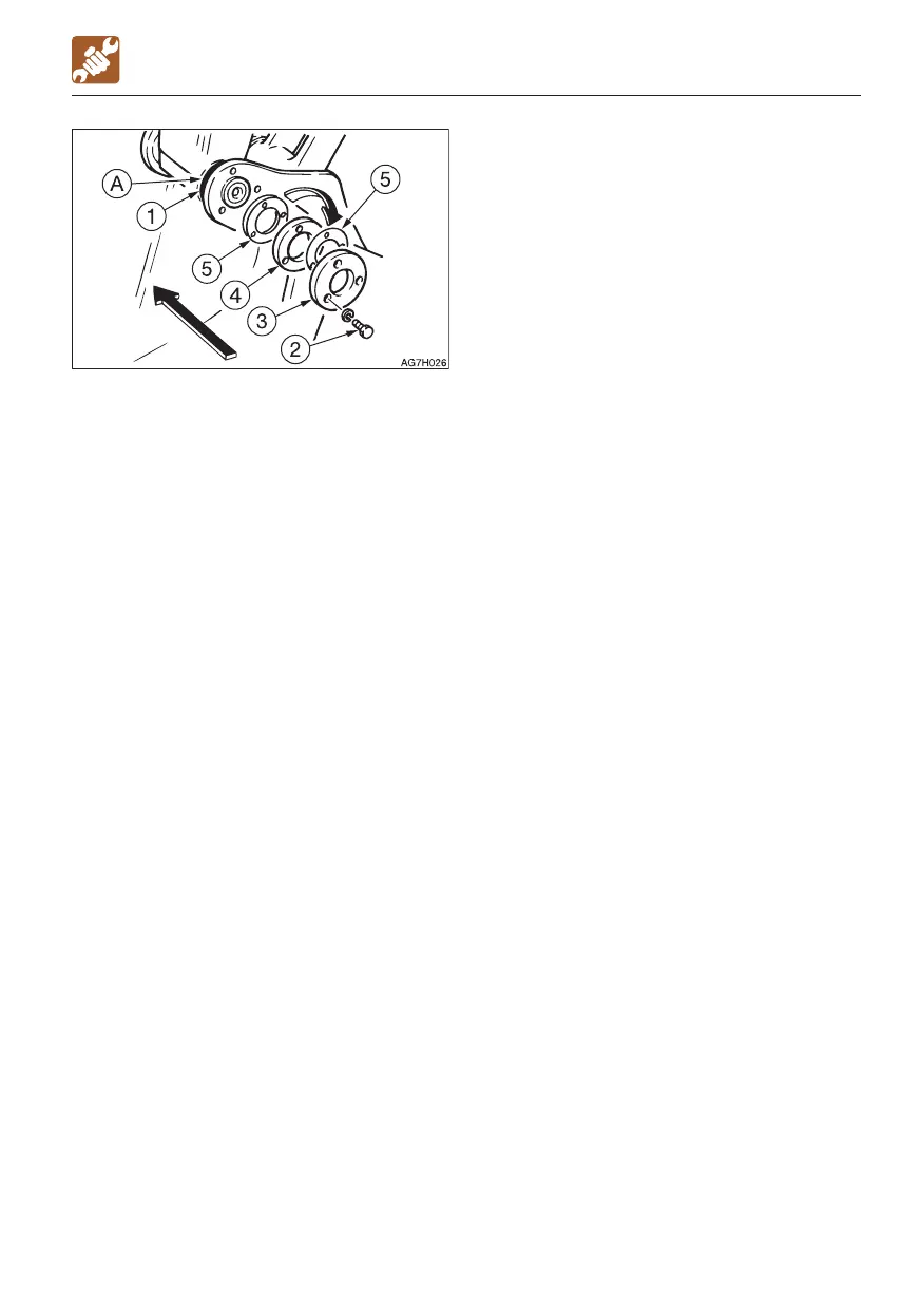 Page #225 background image
