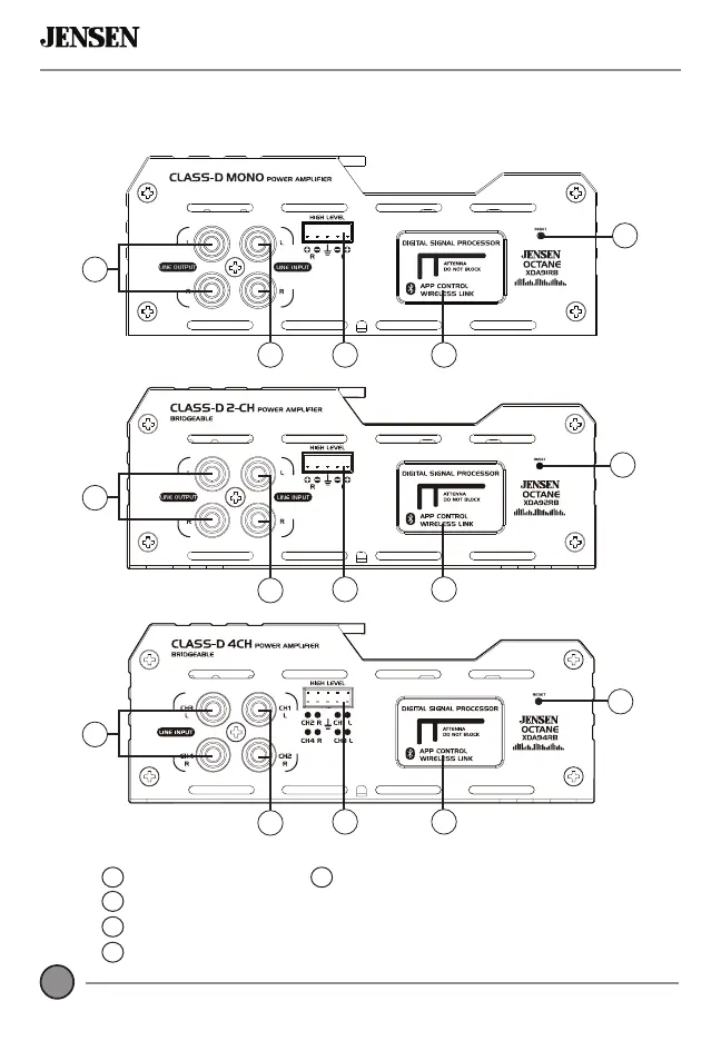 Page #4 background image