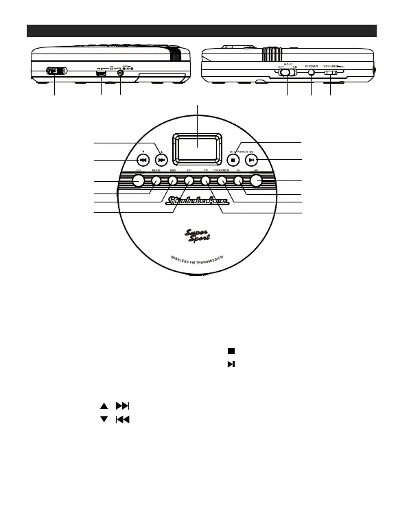Page #4 background image