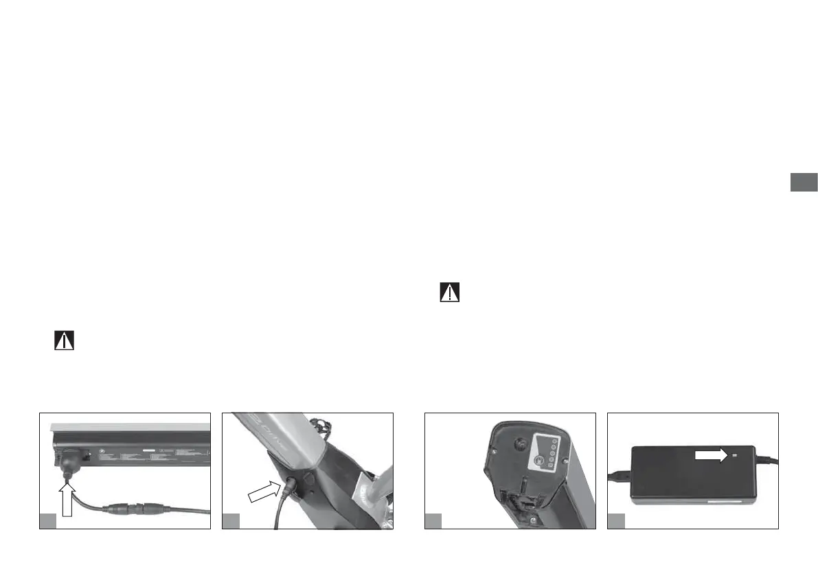Page #369 background image