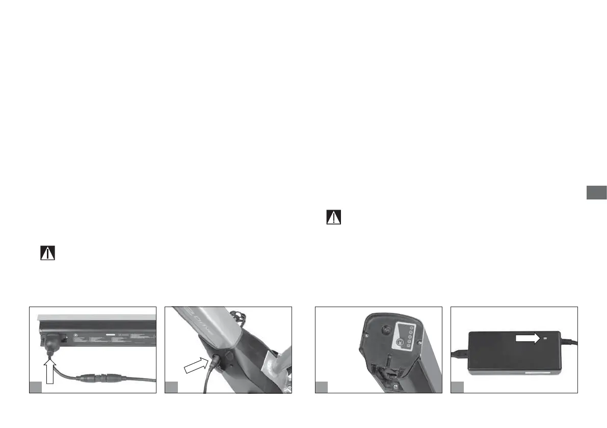 Page #521 background image