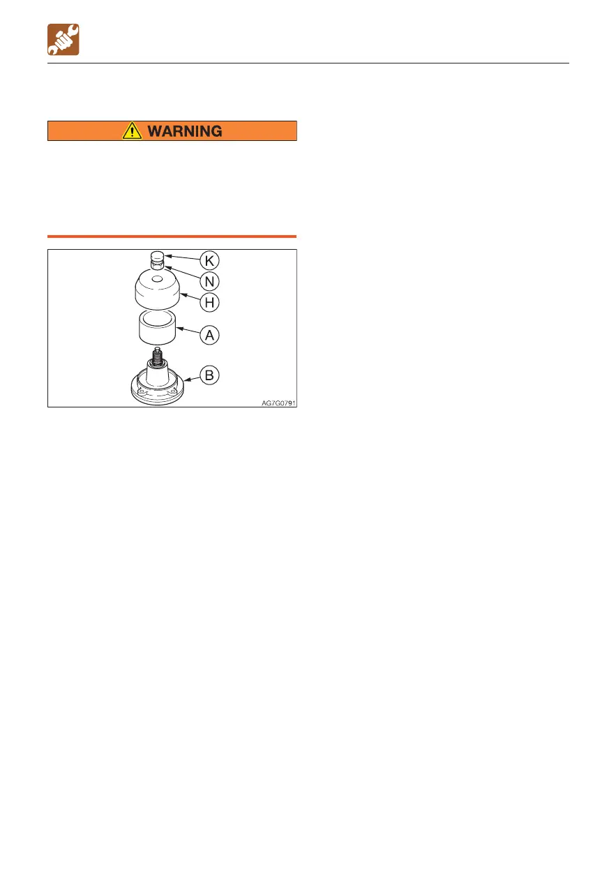 Page #217 background image