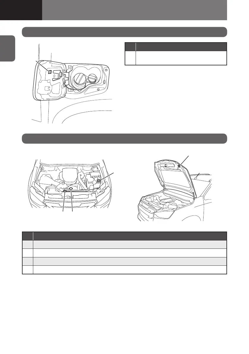 Page #50 background image