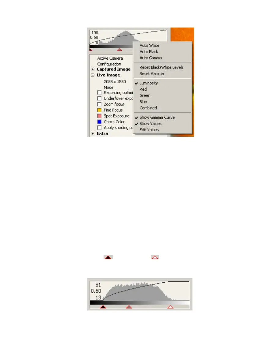 Page #19 background image