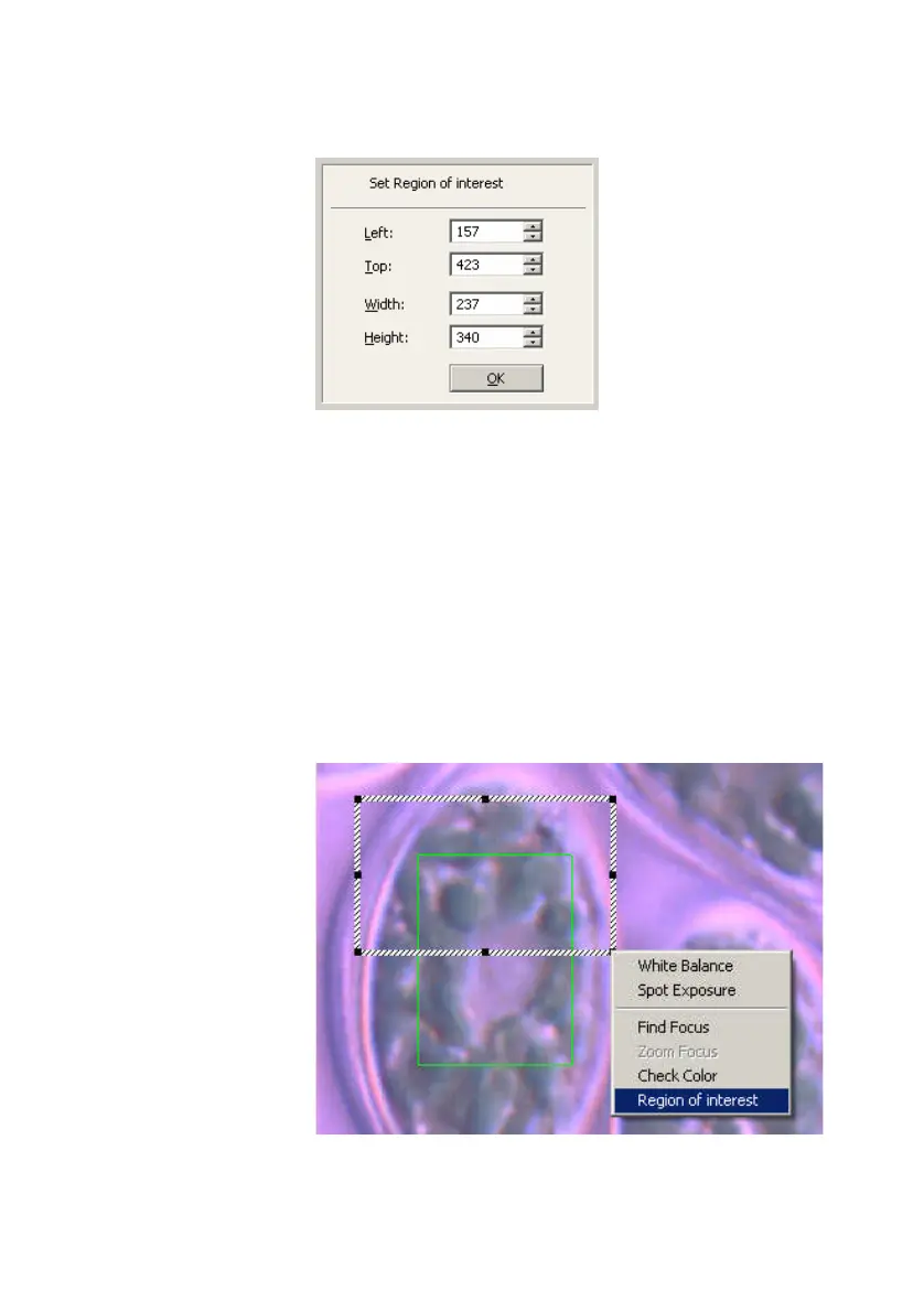 Page #40 background image