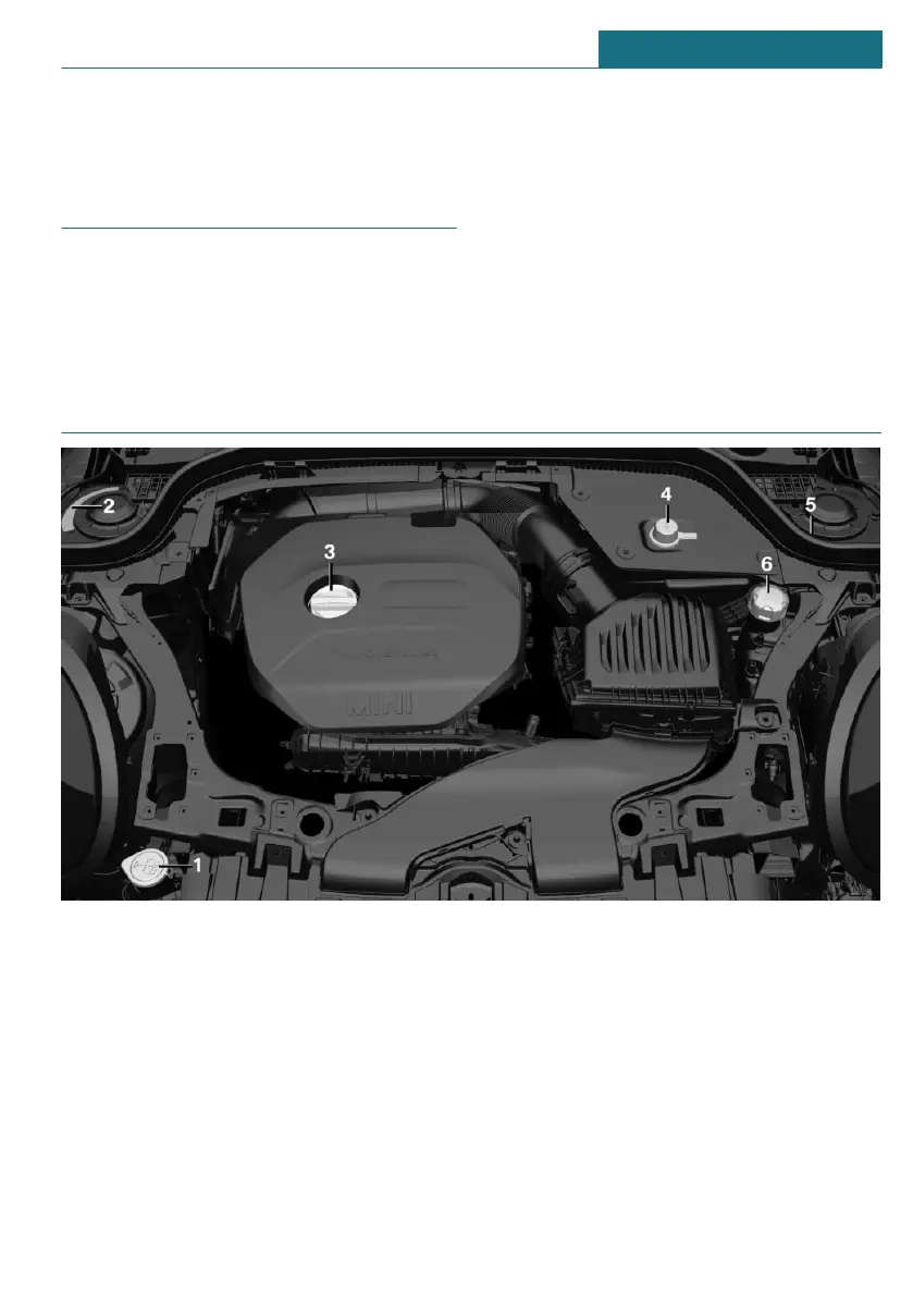 Page #265 background image