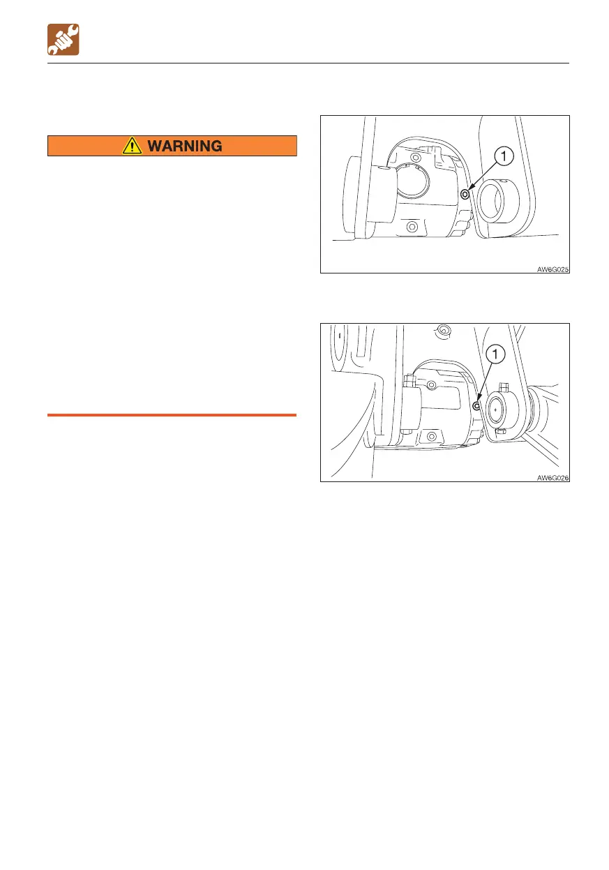 Page #209 background image