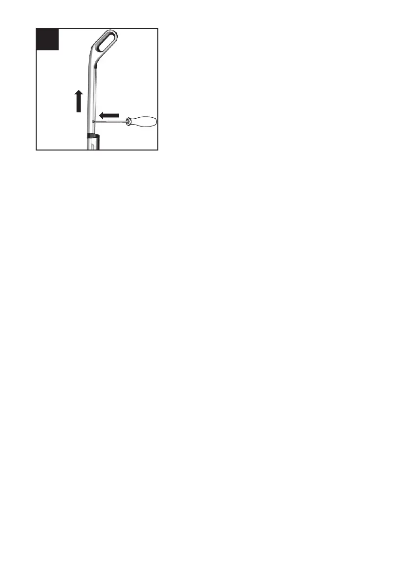 Page #219 background image