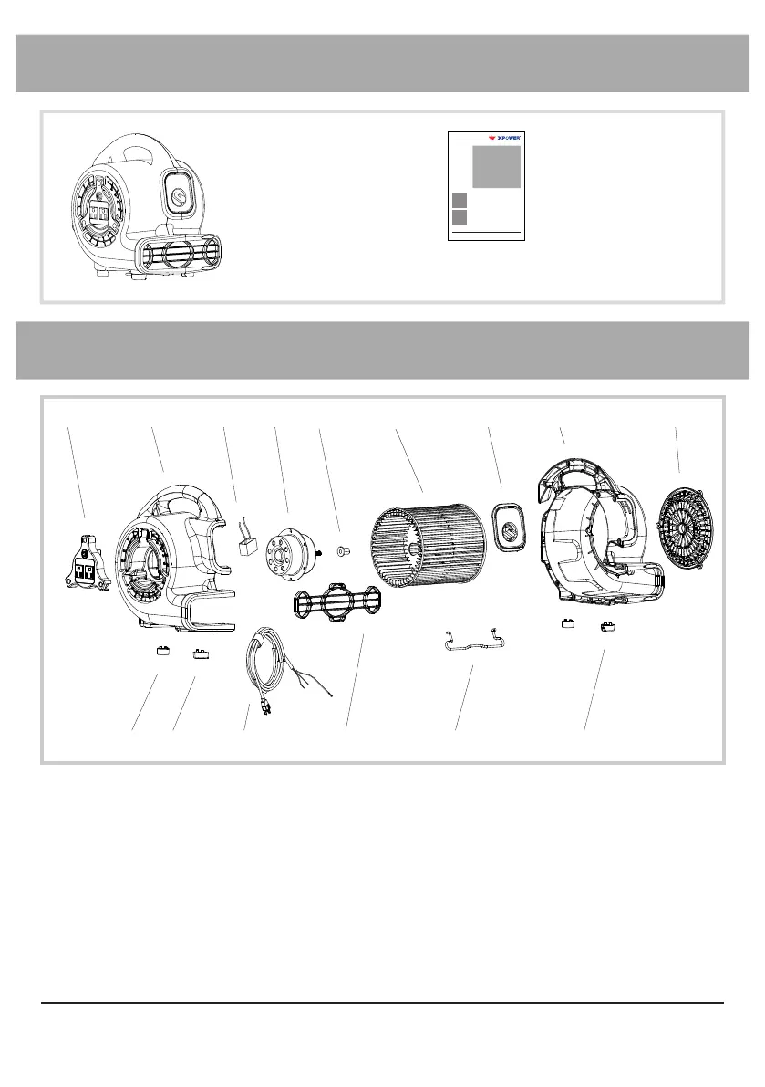 Page #3 background image