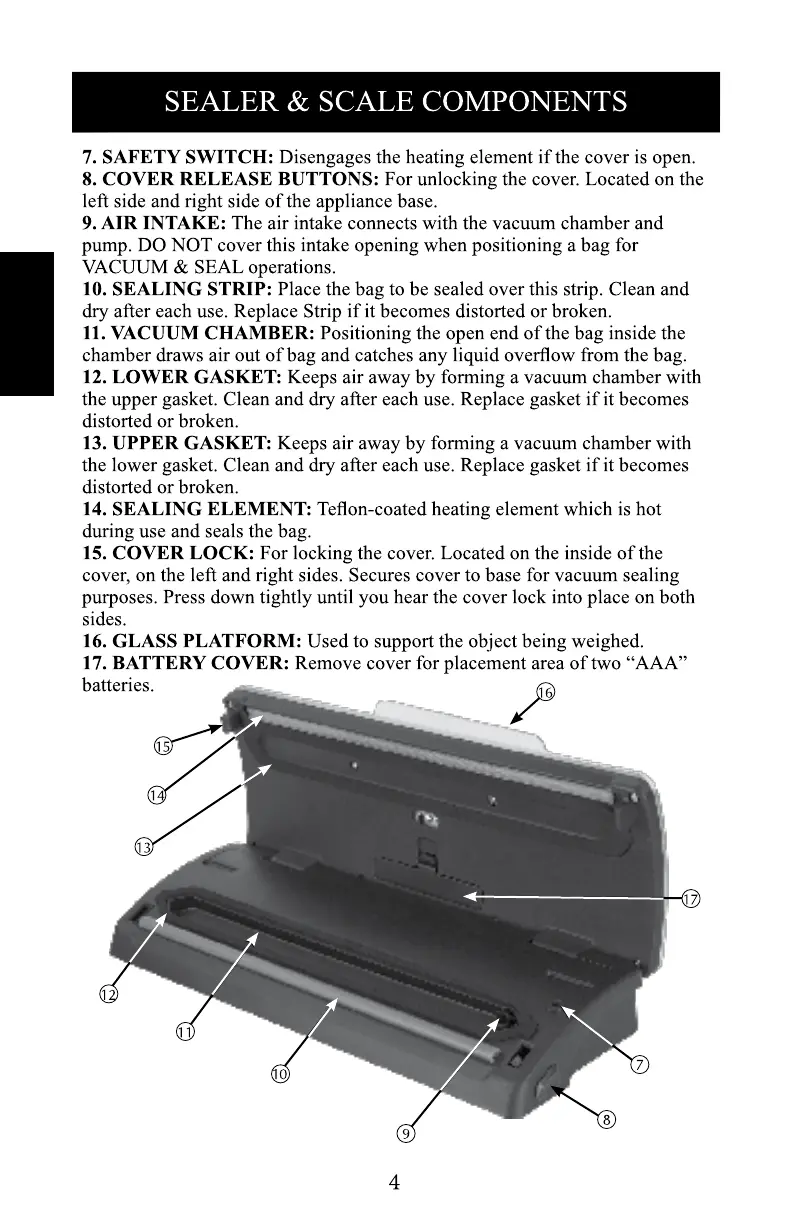 Page #6 background image