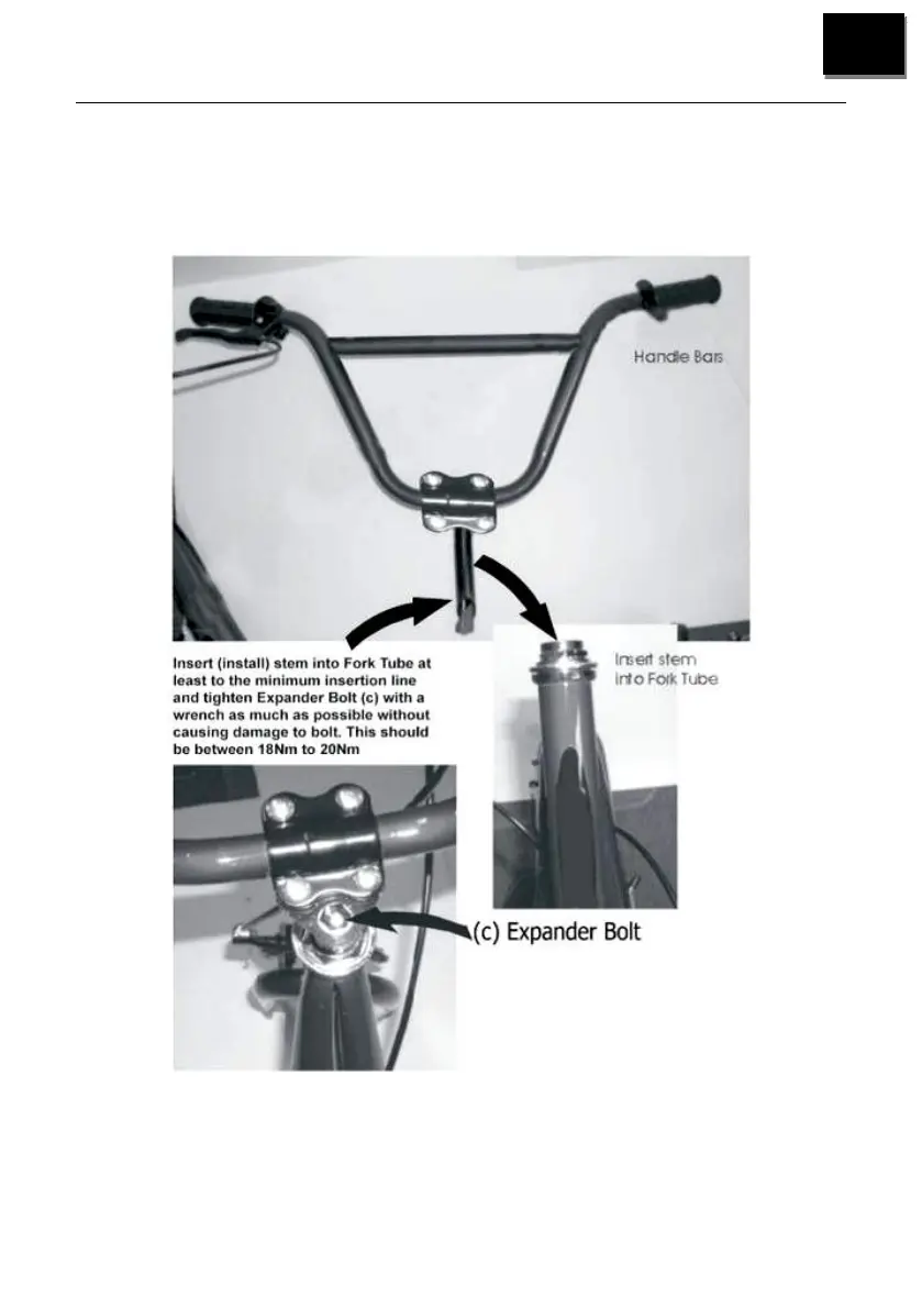 Page #15 background image