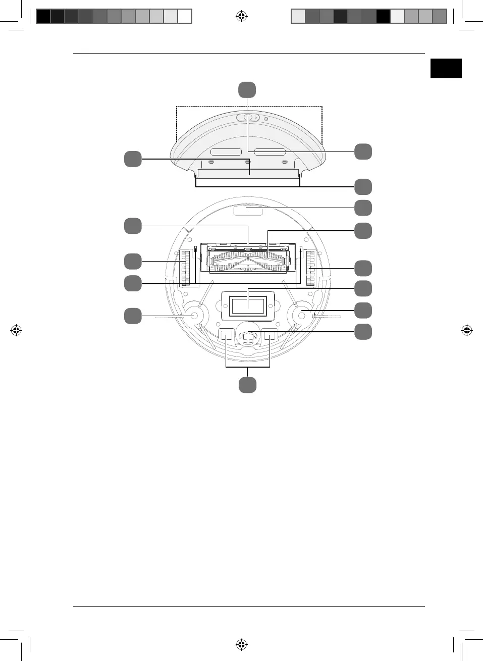 Page #13 background image