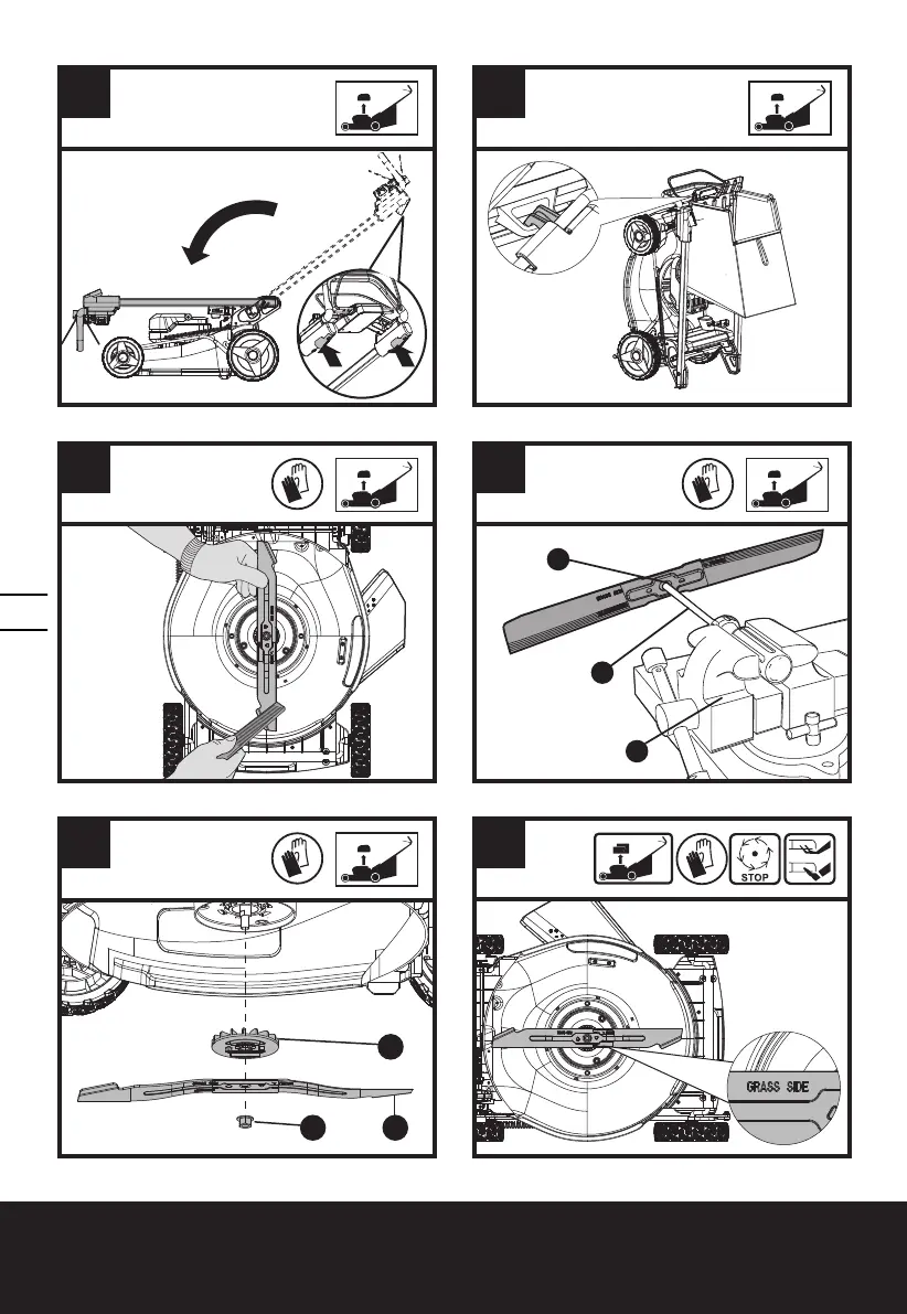 Page #12 background image
