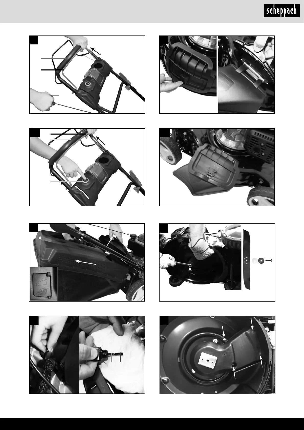 Page #5 background image