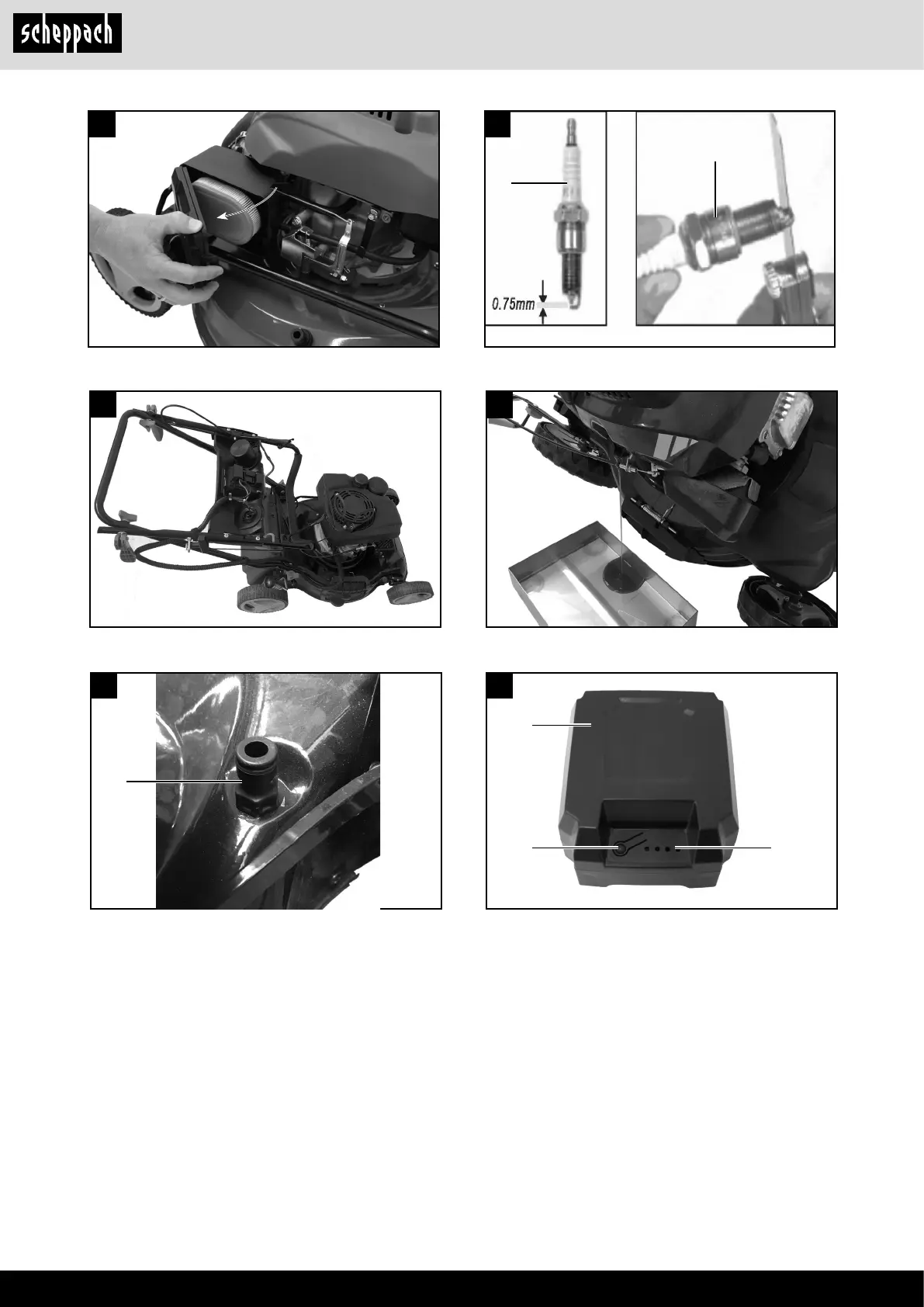 Page #6 background image