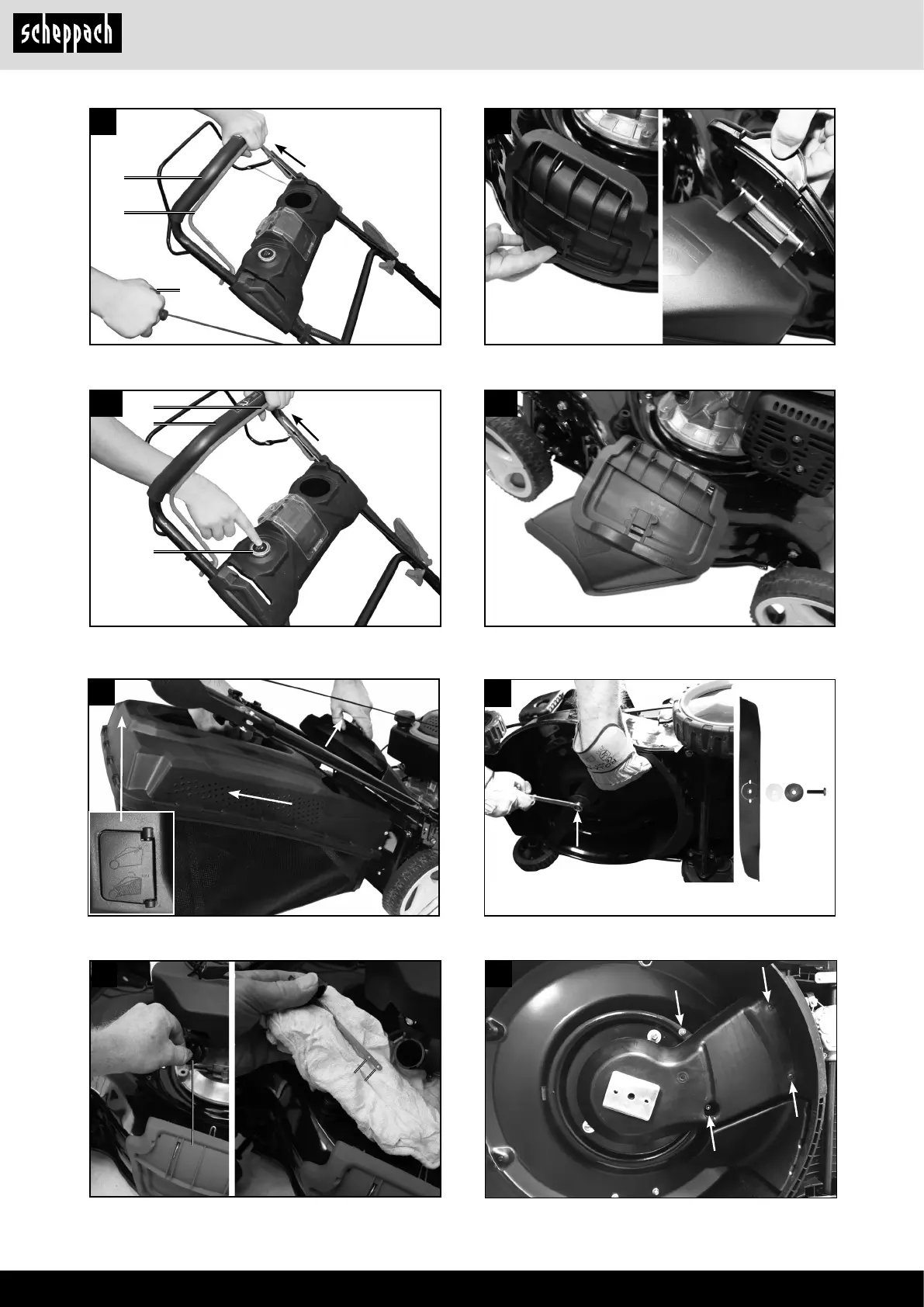 Page #6 background image