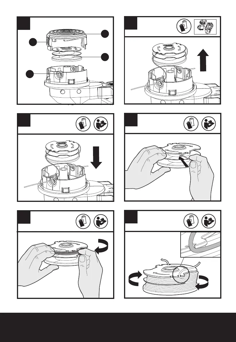 Page #8 background image