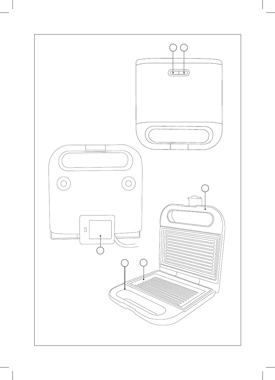 Page #2 background image