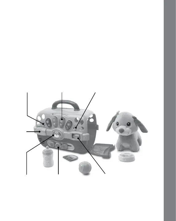 Page #3 background image