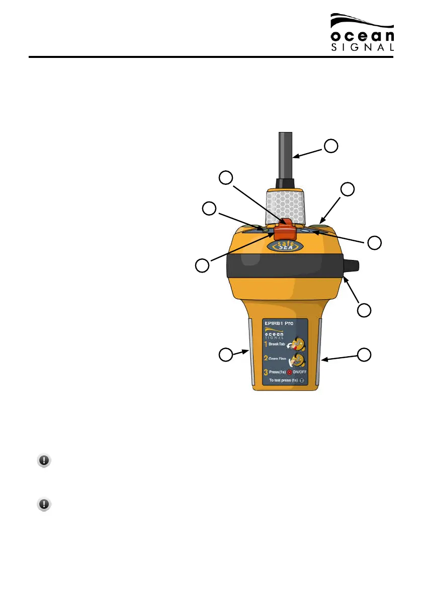 Page #7 background image