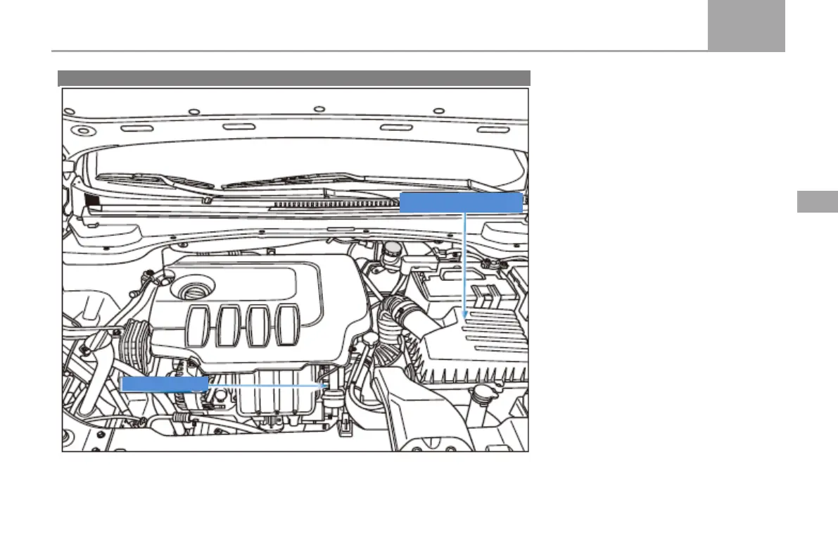 Page #245 background image