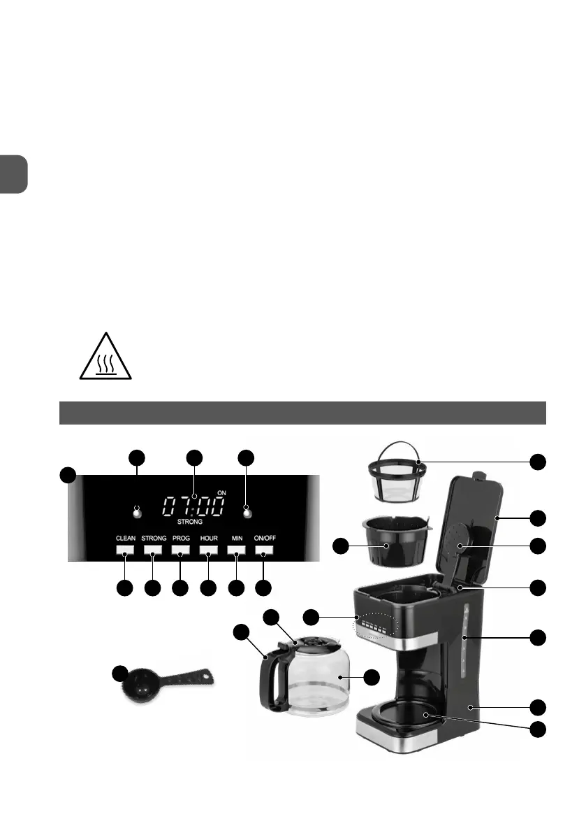 Page #4 background image