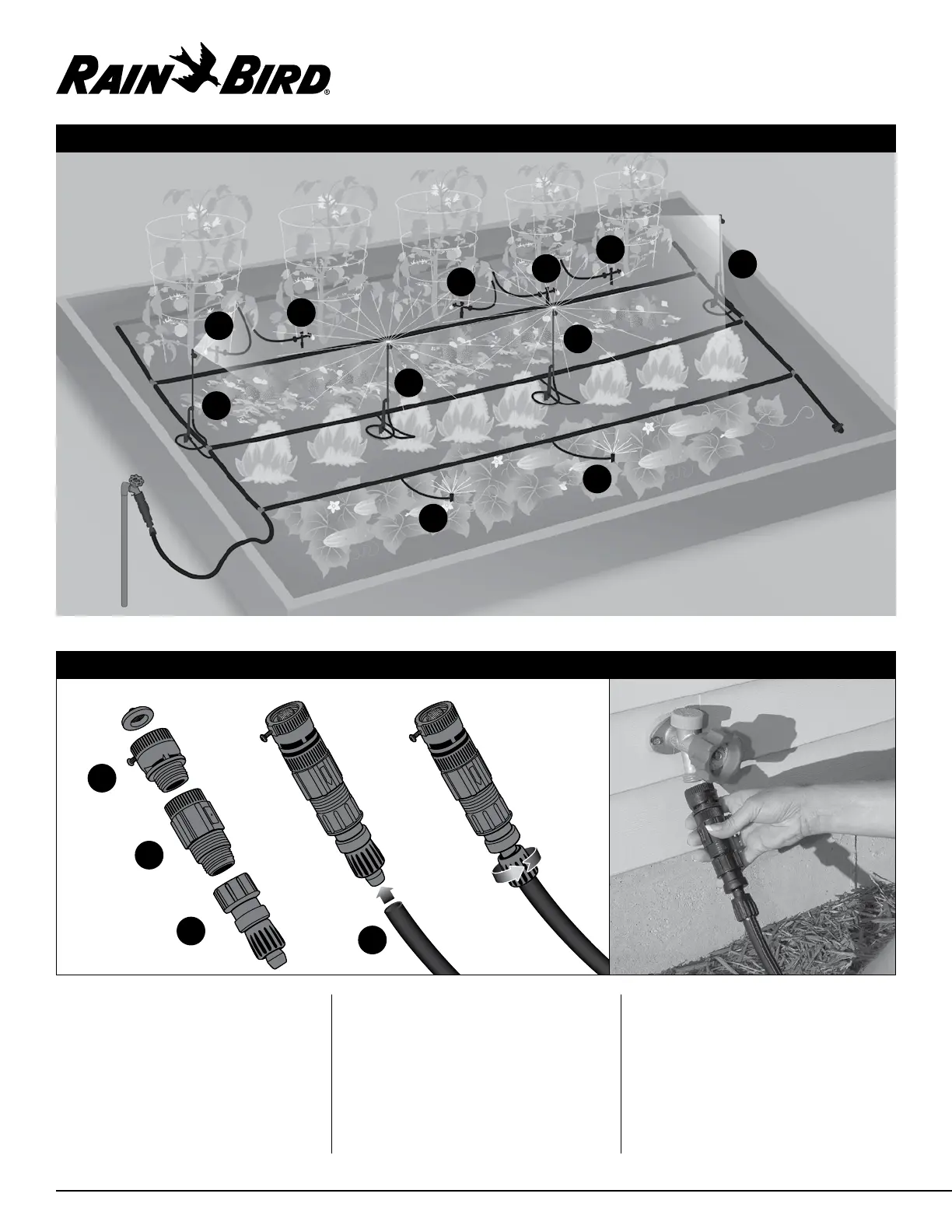 Page #4 background image