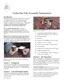 Preview: Assembly Instructions