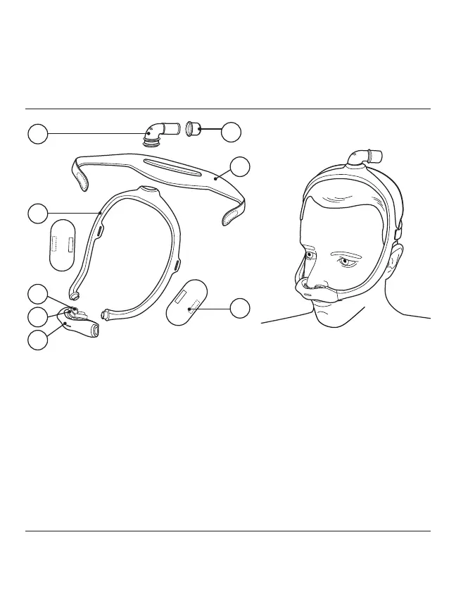 Page #2 background image