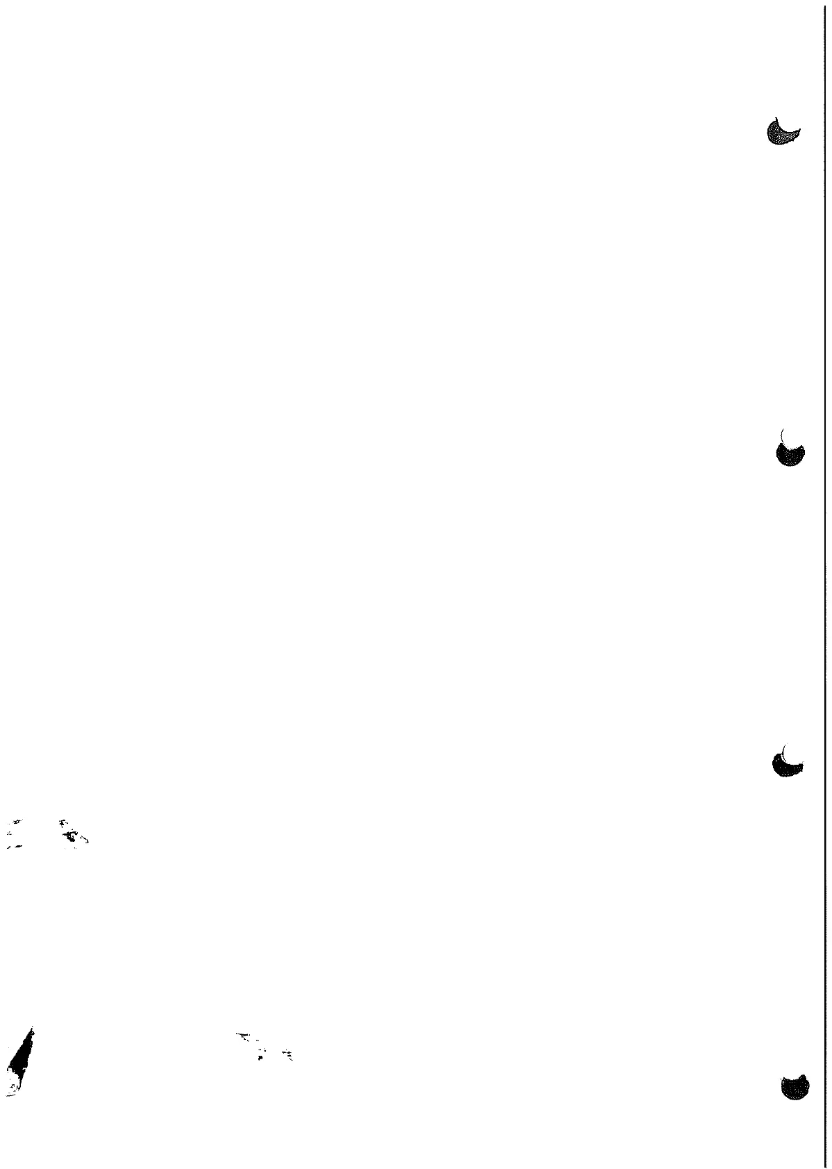 Page #303 background image