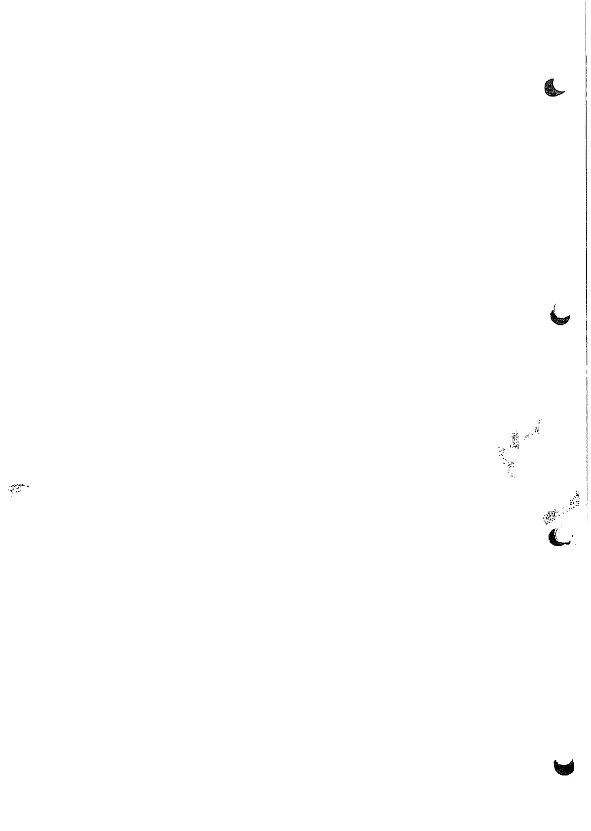 Page #305 background image