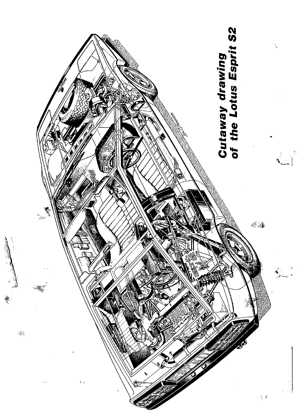 Page #2 background image
