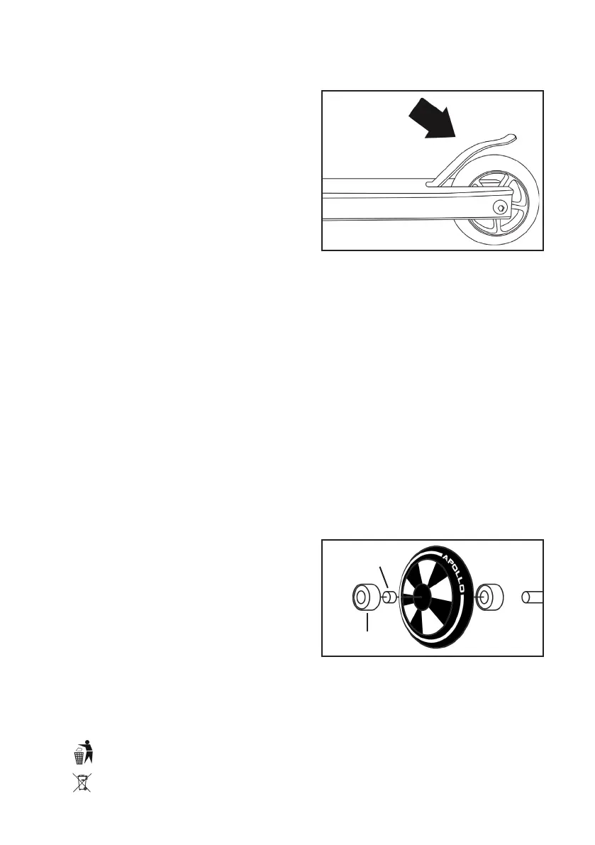 Page #8 background image