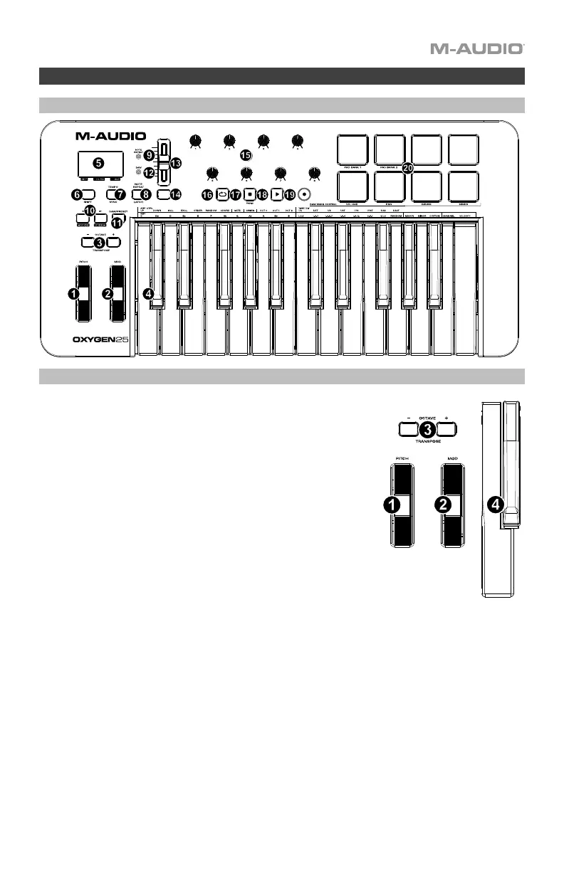 Page #5 background image