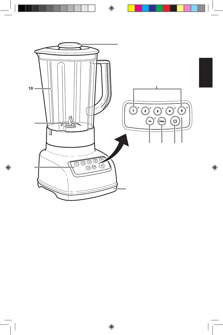Page #13 background image