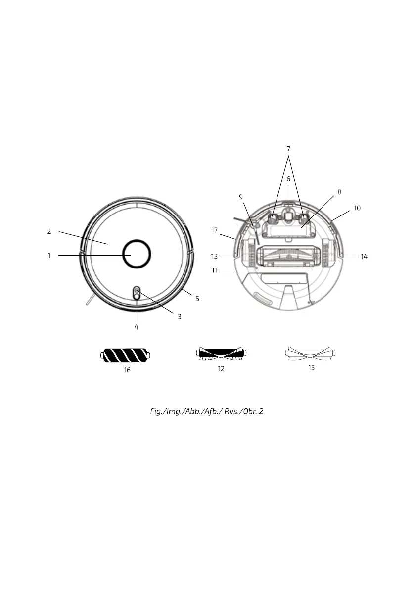 Page #5 background image
