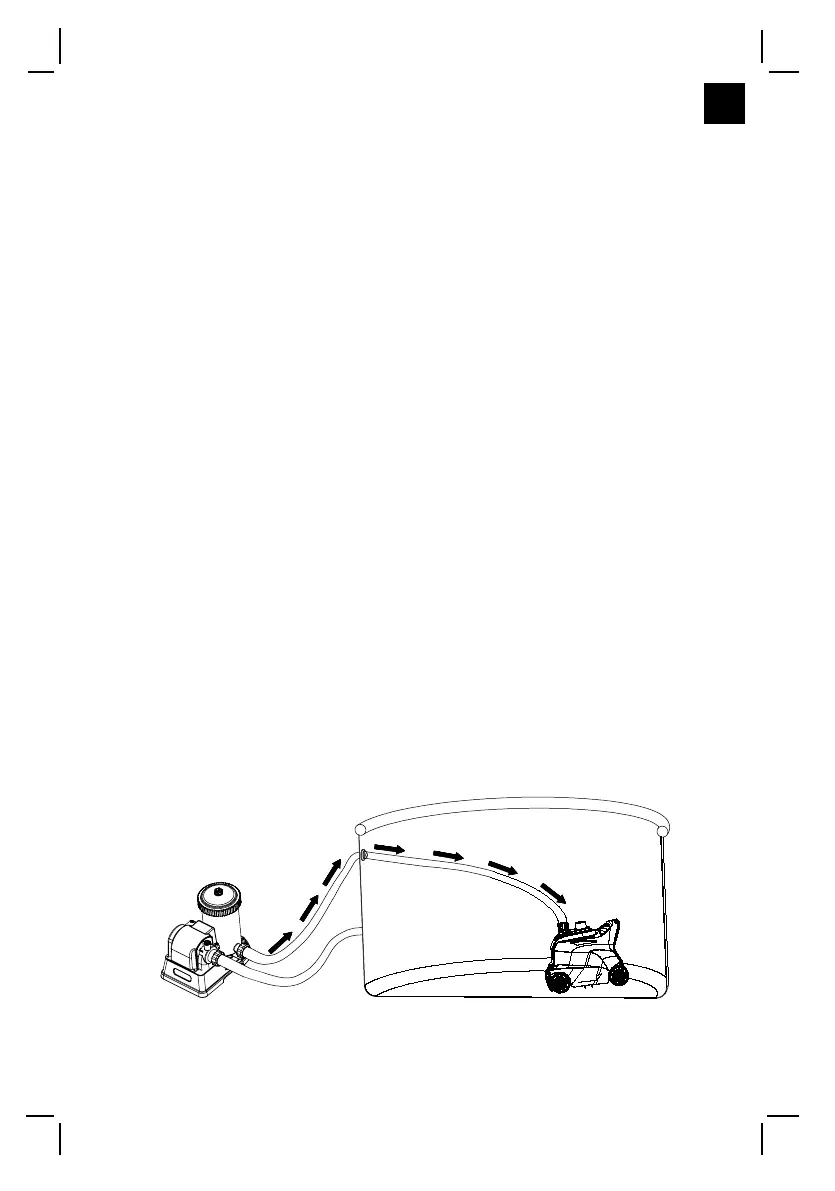 Page #5 background image