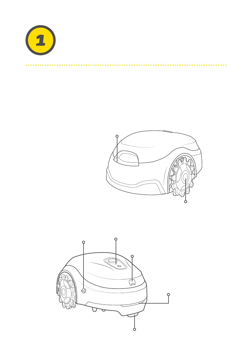 Page #42 background image